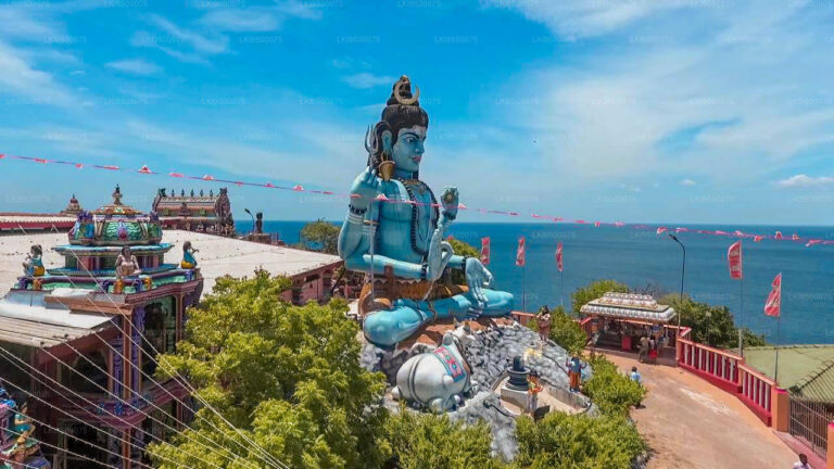 Trincomalee to Jaffna – The Northern Coastal Adventure